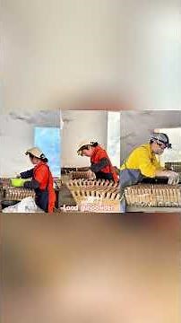 The production process of cake fireworks #fireworks