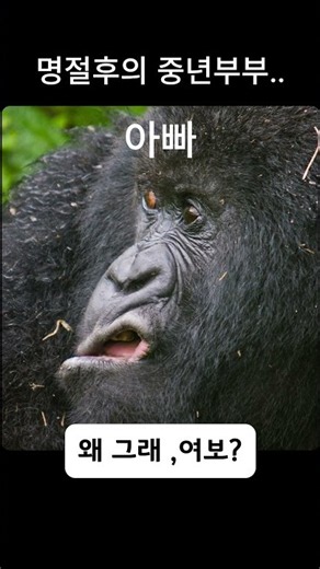 명절후의 중년부부..