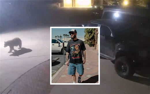 Caleb Plant reacts to Jon Jones spotting a black bear in his driveway