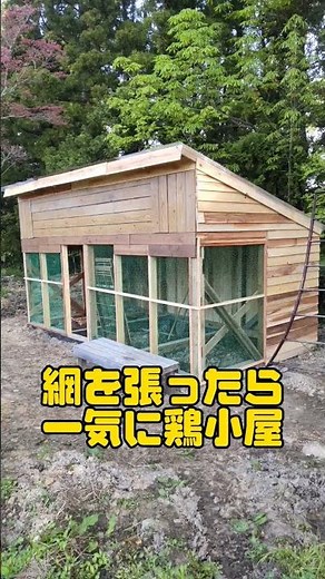 【DIY】鶏小屋作りました