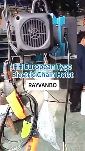 High Quality M5 Working Duty HH European Type Electric Chain Hoist 0.5 Ton 1 Ton 2 Ton 3 Ton 5 Ton for Sale