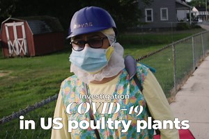 How US poultry plants became deadly COVID-19 hotspots
