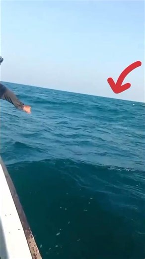 🎬 BARRACUDA CAUGHT on Small Boat! 😱🎣 | Crazy Fishing Fight