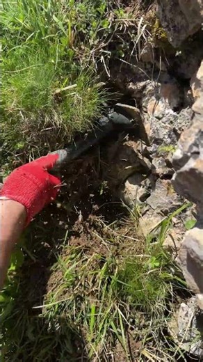 🏺 Buried Treasure Exposed by Detector! #metaldetecting #treasuresearch #metaldetector