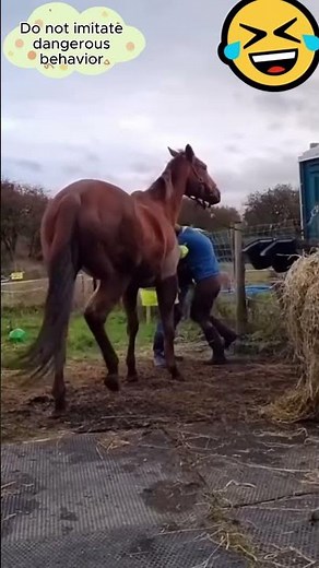 Epic Horse Fails 🐴 | Funny Moments You Can’t Stop Laughing 😂 #Shorts #HorseFails #animalFails #fanny