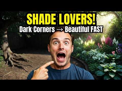 😍8 Shade Loving Perennial Flowers That Brighten Dark Corners Without Any Extra Care 🌿🌿
