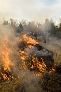 16K views · 261 reactions | Why would a botanic garden renowned for its plant collections burn part of its display? Fire creates more life and is an important part of a healthy ecosystem. Sadly, many fires today are much larger and very destructive due to human impact -- making them not helpful to the ecosystem or human health. Watch the video to learn more. | Denver Botanic Gardens | Facebook