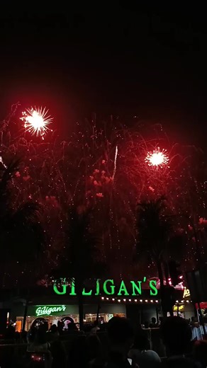 My heart is full🥺🎆 #pyromusical