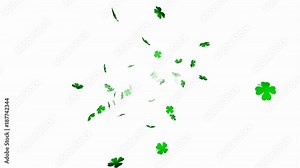 Four leaf clover - seamless looping, alpha channels and 4K