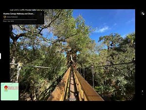 Sightings: The Myakka River State Park Skunk Ape and Where To Find Them In The Myakka Watershed