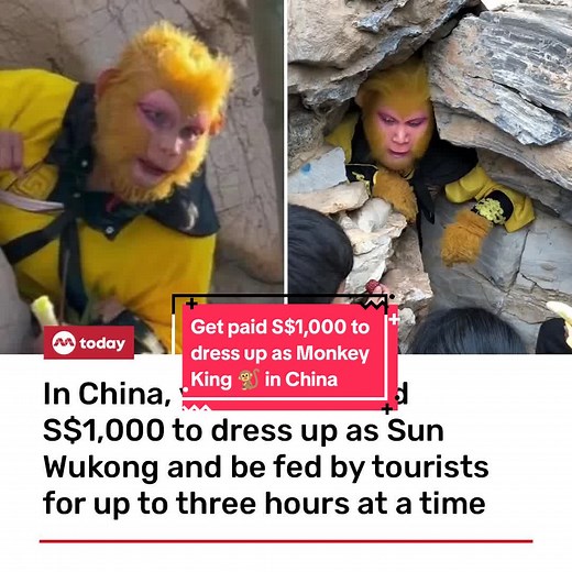 "There are no academic requirements," said a manager. "Mainly he must ... | Sun Wukong