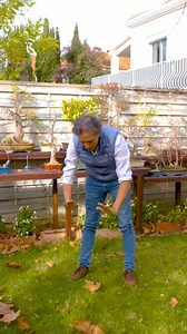 Jean Pélissier montre un exercice accessible à tous, issu du Qi Gong. Ce mouvement fluide, accompagné de la respiration, aide à relâcher les tensions, stimuler la circulation de l’énergie et apaiser le mental. À répéter 9 fois chaque jour pour ressentir ses effets. 📌 Pour accéder à la formation complète en médecine traditionnelle chinoise : https://lettre.votre-sante-votre-alimentation.com/leadgen-mtc-landing-orga/signup.html?source=TSA707610001 🎥 Vous pouvez visionner la vidéo entière ici : h