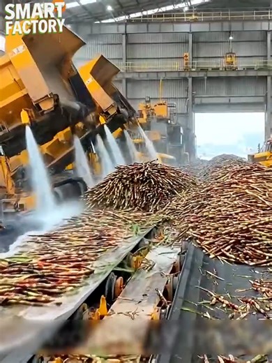 Understanding the Sugarcane Processing Journey