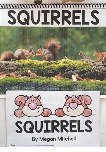 🪵🐿️ Are your students curious about squirrels? This nonfiction unit is packed with activities to teach all about these busy little creatures and practice informational text skills. Perfect for November when squirrels are gathering acorns! 🍂 The mini reader and colorful real-photo book can be projected with the Google link, downloaded as a PowerPoint, shared as a PDF, or printed for your classroom library. After reading, explore fun comprehension activities, a research project, a cute squirrel