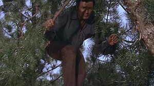 California.Conquest.1952.1080p.BluRay.x264.AAC-[YTS.MX]