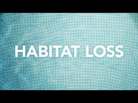 Ocean Habitat Loss
