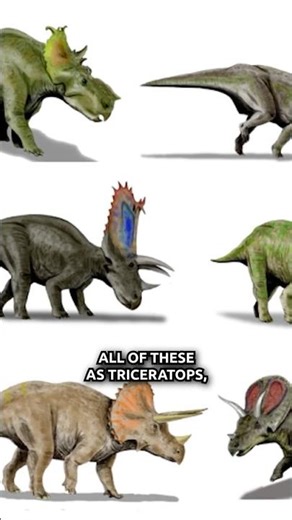 Can Natural Selection INCREASE Genetic Information?