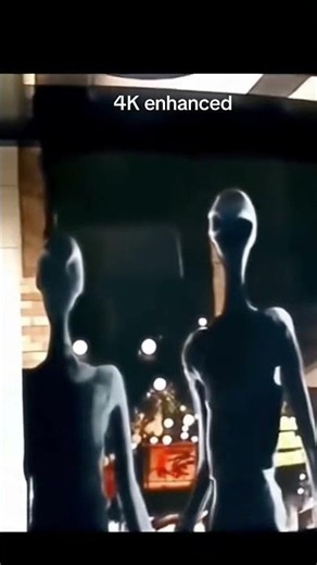 4k The Miami Mall Alien 2024 footage