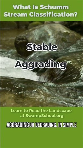 What Is Schumm Stream Classification?