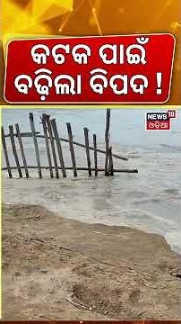 ଆଜି ରାତି କଟକ ପାଇଁ ବଡ଼ ବିପଦ Chitrotpala River Erosion In Cuttack । Flood in Odisha । Odia News N18V