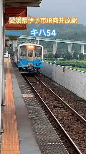 青い瞳のステラ、1962年夏... / 柳ジョージ