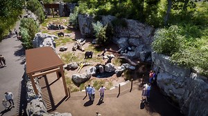 Cincinnati Zoo to make big changes to 'Bear Hill' for bears, otters and more