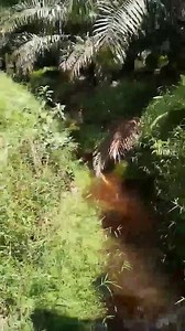 Have you ever seen snacks making love?