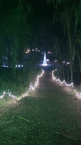 Experience the magic of the holiday season at Jacksonville Arboretum & Botanical Gardens’ Glowing Gardens! ✨ This holiday light show brings the beauty of nature to life with glowing bromeliads, shimmering hummingbirds and more! Celebrate with family, enjoy festive treats and make memories in this sparkling woodland wonderland. 🌲❄️ https://jacksonvillearboretum.org/events/glowing-gardens | Visit Jacksonville