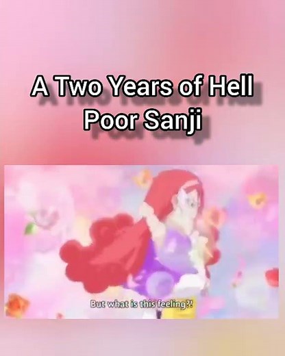 Sanji Training to death 💀
