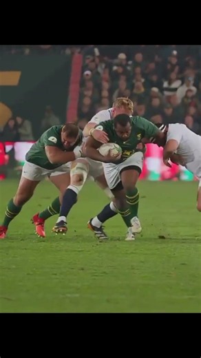OX 🐂 #rugby #springboks #southafrica #rugbyunion #worldrugby