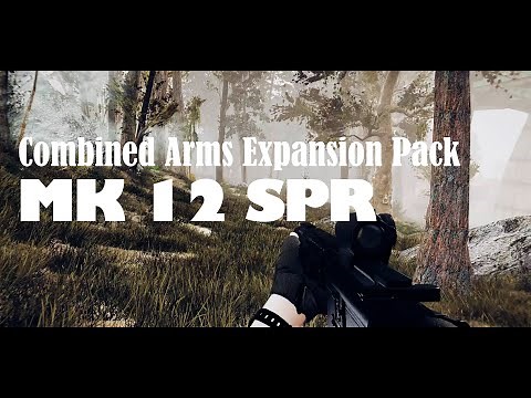 FALLOUT MOD I MK 12 SPR I Combined Arms Expansion Pack
