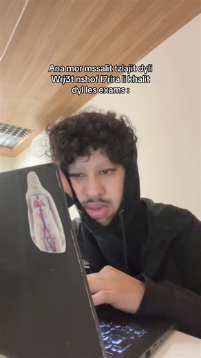 Returning to Life After Exams: A Personal Reflection