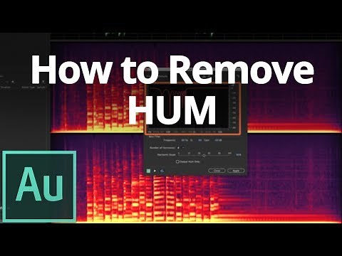 How to Remove Hum from audio 
