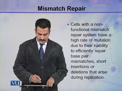 DNA Repair Mechanism | Cell Biology | BIO5105_Topic188