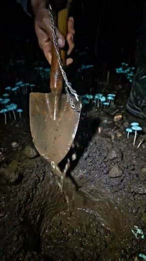 you won't believe what i found in a random forest at night #treasurehunt #treasurehunting #treasure