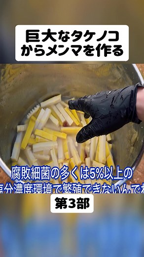 巨大なタケノコを使ったメンマの作り方