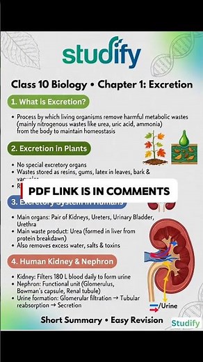 Topper Notes PDF 📈 | Class 10 Biology Chapter 1