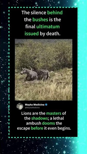 The silence behindthe bushes is thefinal ultimatumissued by death.#foryou #fyp #animals#funny