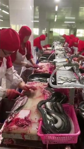 friggin eel cutting skills 🐟 #fish #seefood #fishing #sushi