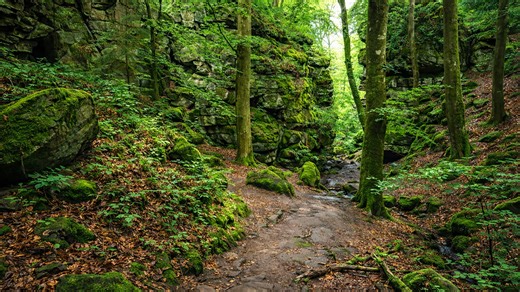 Teufelsschlucht Tyskland: Mystisk kløft i Naturpark Sør-Eifel (4K)