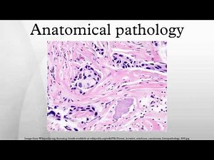 Anatomical pathology