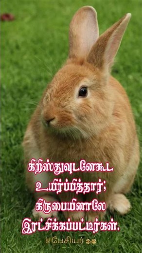 இருளான வாழ்கையில் yen kudawe irum tamil christian songs shorts bless status jesuschrist bibleverses