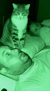 39K views · 243 reactions | Night Vision Footage: Cat Asserts Dominance At 3 A.M. #USAreels #USAstories #CatSlap #CaughtOnNightVision #FunnyPets #CatBehavior #PetComedy #UnexpectedMoment This video was produced by Network Media and Blue-X Studio | Simulated Reality | Facebook