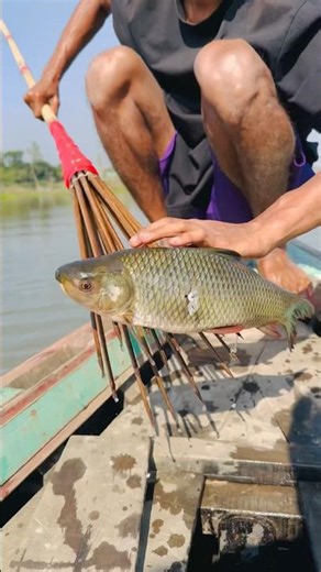 Magical Moments of Catching Giant Carp in the River।#Shorts #Fishing #ViralFishing #CatchingFish #yt