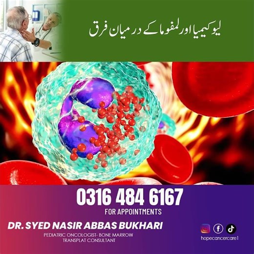 Difference Between Leukemia & Lymphoma | Blood Cancer Types Explained