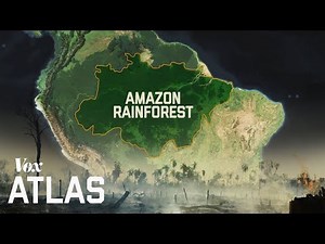 Rainforest Deforestation In the Amazon
