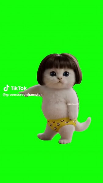 How to use this meme ❓Just DM me with “Meme” for the template link 📥 Kitten with Wig on dancing meme green screen #capcut #capcutpioneer #pioneertemplate #catsoftiktok #kittensoftiktok