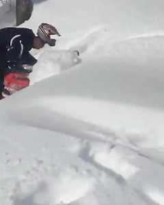 10K views · 100 reactions |  ps no hurt so we little laughing...