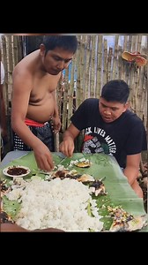 Klein Setter on Reels