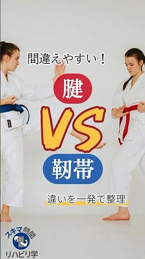 【違いは？】腱 vs 靭帯 違いを一発で整理！ #理学療法士国家試験 #理学療法 #理学療法士 #作業療法士 #作業療法士国家試験 #基礎 #腱 #靱帯 #違い